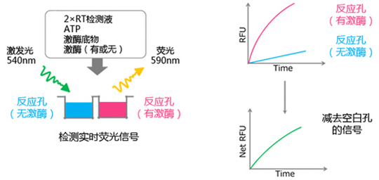 實(shí)驗(yàn)流程(實(shí)時(shí)法)