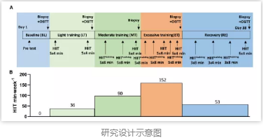 研究設計示意圖