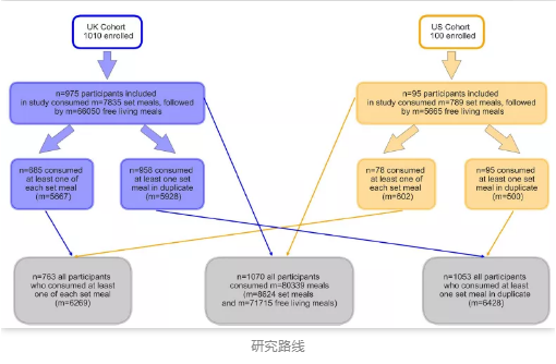 接受癌癥免疫療法治療后的患者出現免疫相關不良事件（irAE）的發生概率研究路線