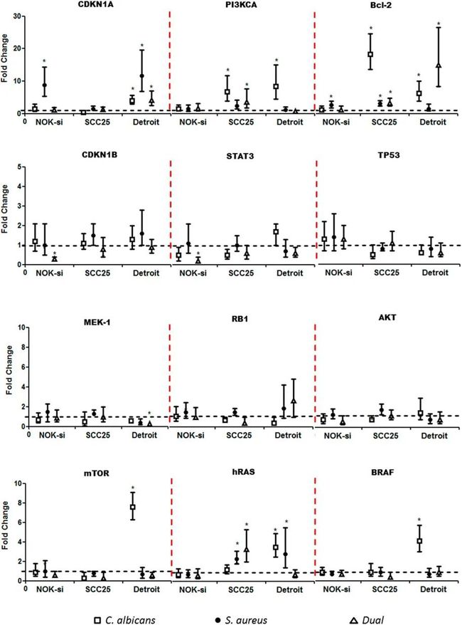 生物膜上可溶性因子的原癌基因和細胞周期基因表達 生物膜上可溶性因子的原癌基因和細胞周期基因表達