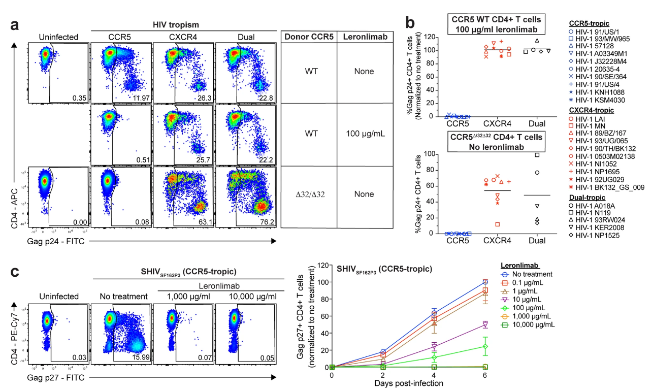 試驗結果顯示:Leronlimab 阻斷了CCR5在體外的傳播 試驗結果顯示:Leronlimab 阻斷了CCR5在體外的傳播