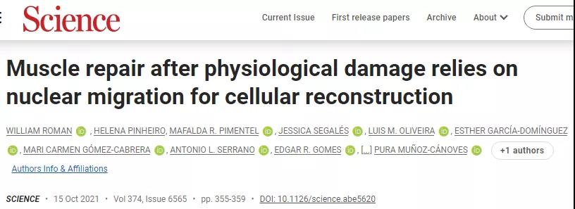 文獻(xiàn)DOI:10.1126/science.abe5620