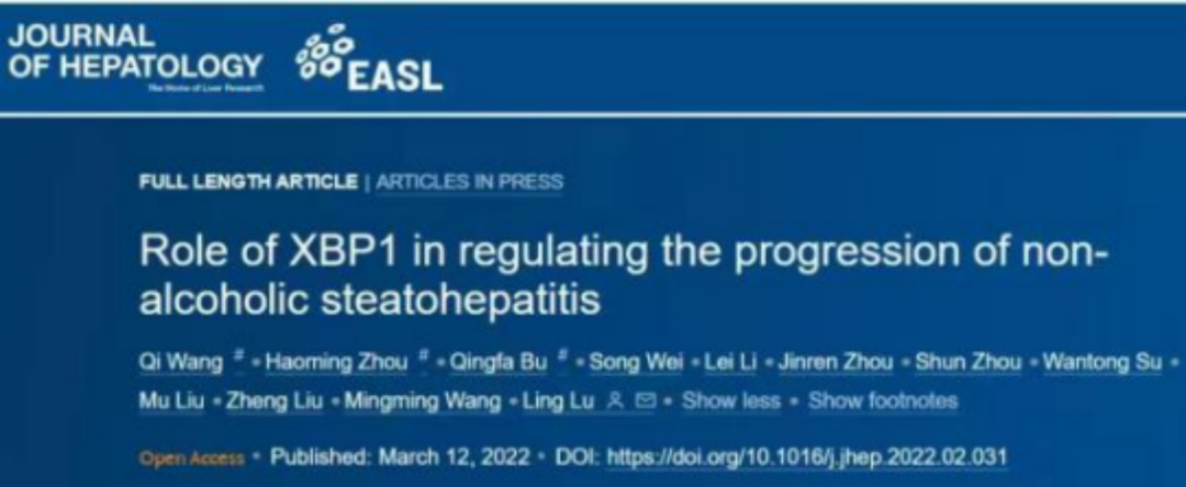 XBP1抑制劑可作為NASH的潛在治療新靶點 XBP1抑制劑可作為NASH的潛在治療新靶點