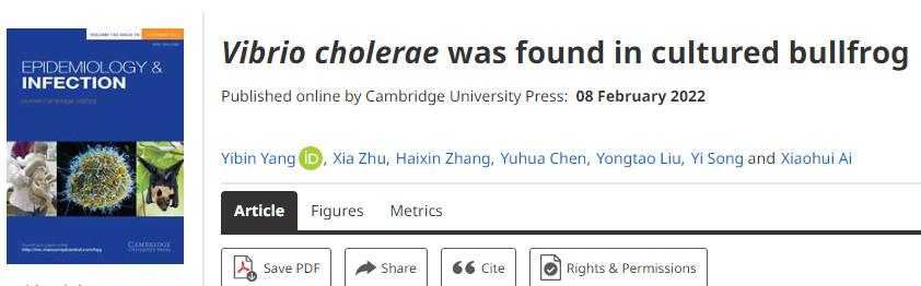 人畜共患細(xì)菌霍亂弧菌感染牛蛙,是導(dǎo)致牛蛙病害大流行的根源 人畜共患細(xì)菌霍亂弧菌感染牛蛙,是導(dǎo)致牛蛙病害大流行的根源
