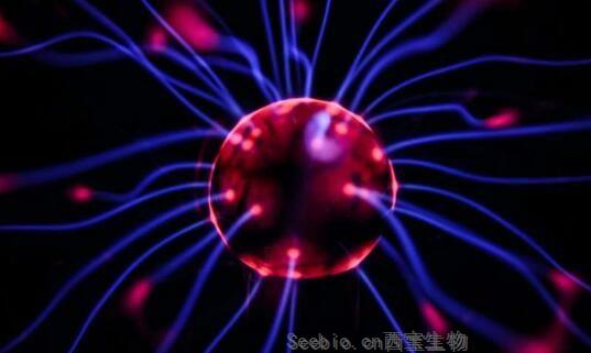 Nature解讀！小鼠大腦的愛(ài)與恨或在一念之間！相同效應(yīng)或適用于人類(lèi)！