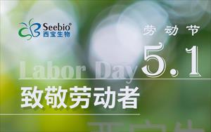 五一勞動節放假通知|致敬不凡 禮贊平凡 五一勞動節放假通知|致敬不凡 禮贊平凡