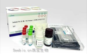 深度求索“TEV 蛋白酶”應用場景與檢測