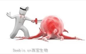 雙靶點mTORC1/2抑制劑<font color='red'>onatasertib</font>聯合PD-1抗體toripalimab治療晚期實體瘤的多中心I/II期臨床研究