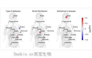 血漿蛋白質(zhì)組學(xué)揭示腦與免疫系統(tǒng)衰老與健康壽命及長(zhǎng)壽的關(guān)聯(lián)機(jī)制