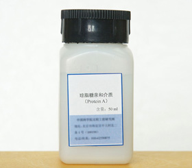Protein A QZT 4FF親和介質 Protein A QZT 4FF親和介質